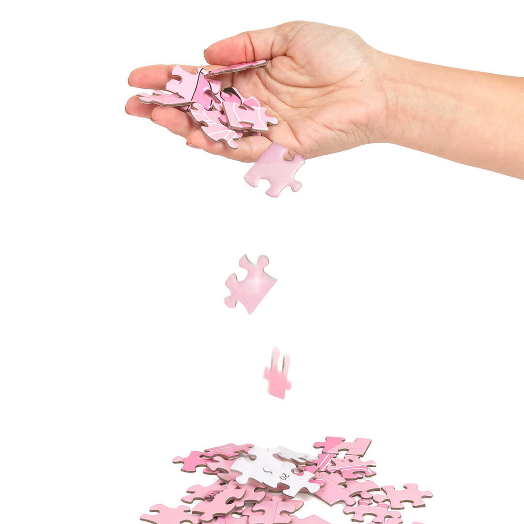 Puzzle Jeu SEXXXZZLE - Secret Play