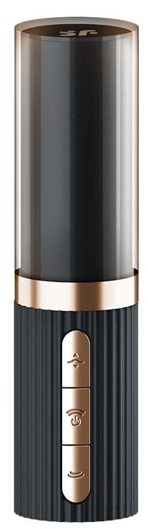 Satisfyer Pro 2 Kiss – Stimulateur clitoridien